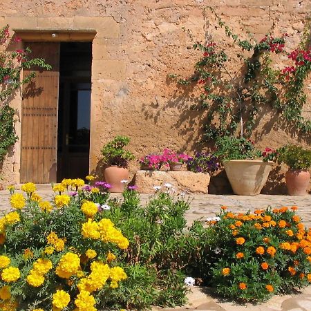 Finca Sa Cova Vella Манакор Екстериор снимка