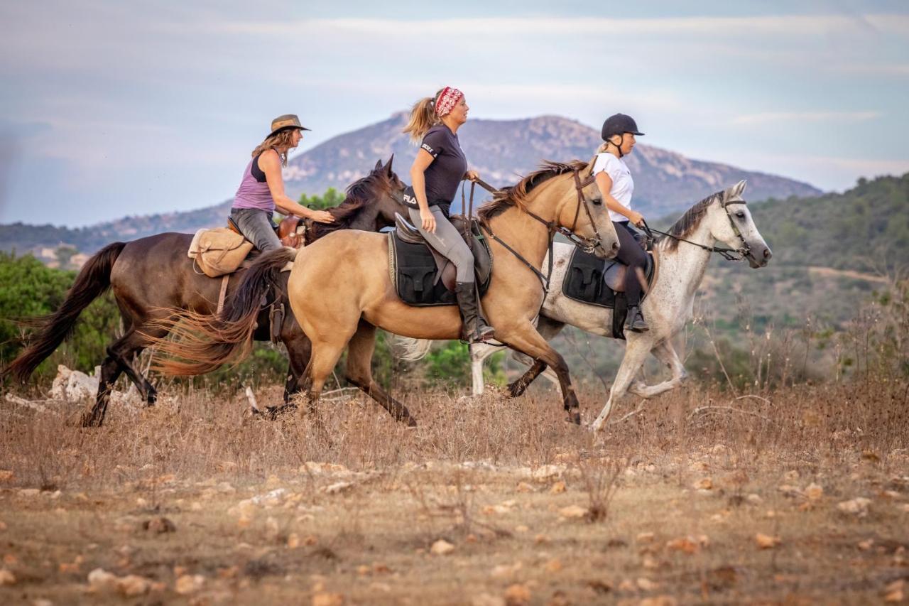 Finca Sa Cova Vella Манакор Екстериор снимка