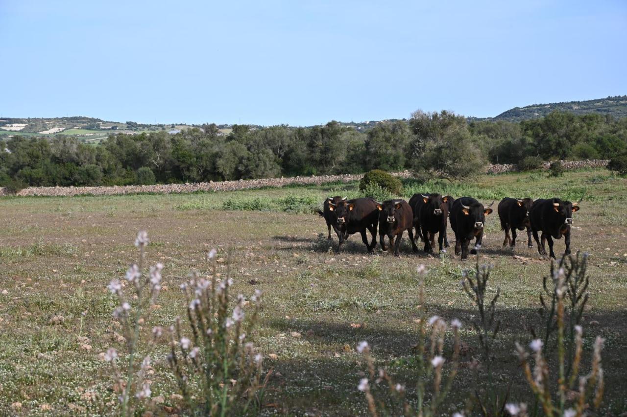 Finca Sa Cova Vella Манакор Екстериор снимка