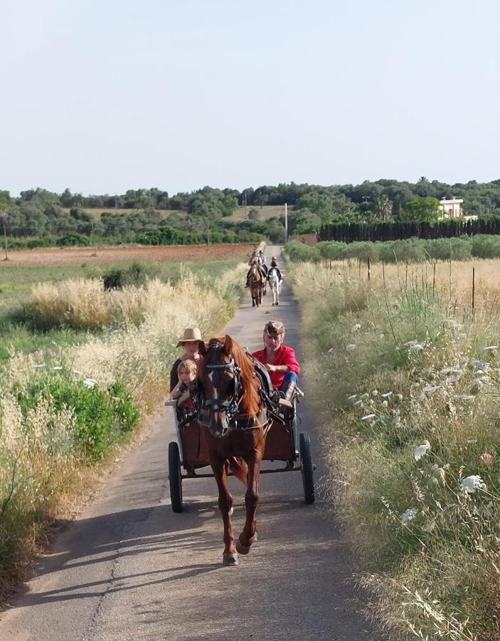 Finca Sa Cova Vella Манакор Екстериор снимка