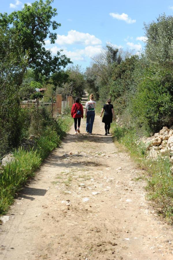 Finca Sa Cova Vella Манакор Екстериор снимка