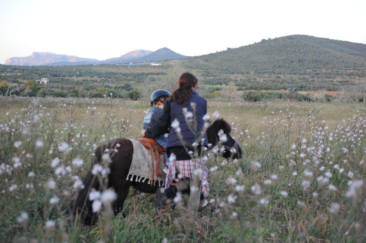 Finca Sa Cova Vella Манакор Екстериор снимка