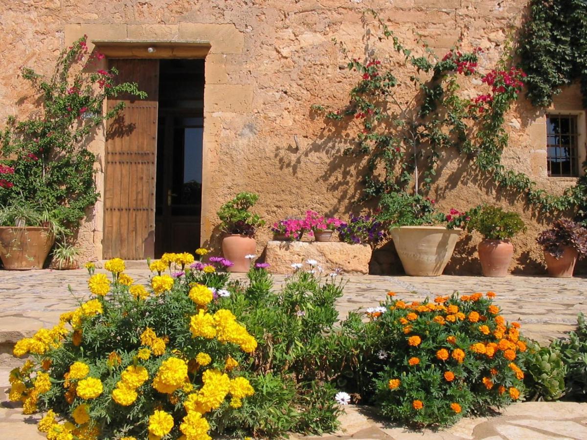 Finca Sa Cova Vella Манакор Екстериор снимка