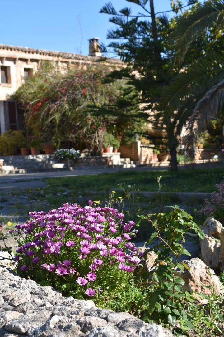 Finca Sa Cova Vella Манакор Екстериор снимка