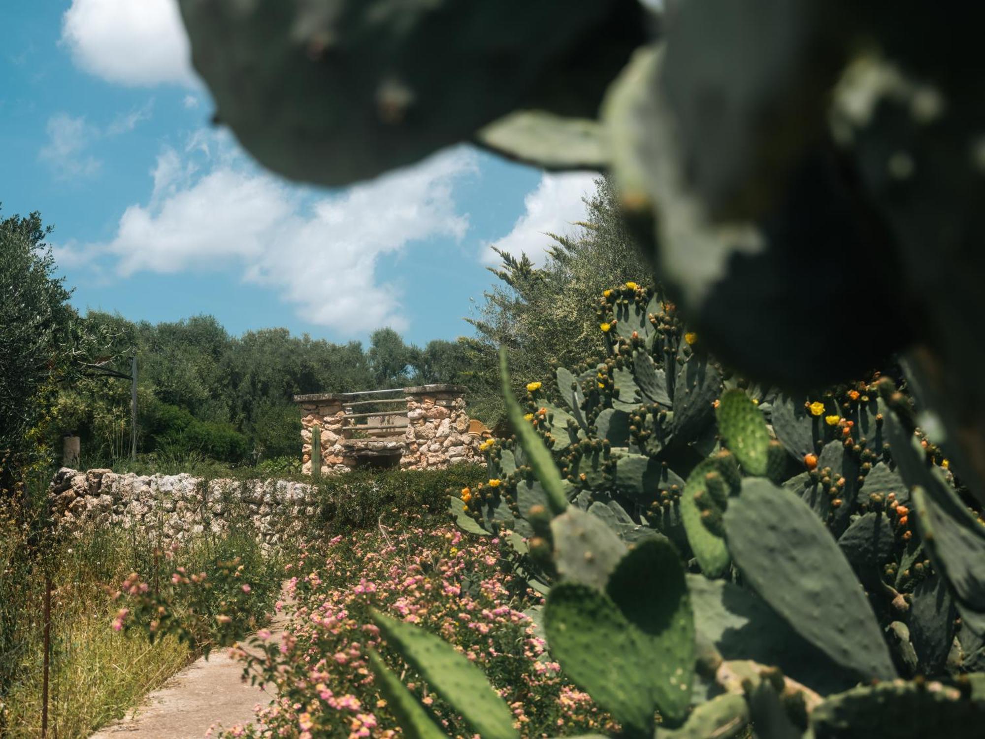 Finca Sa Cova Vella Манакор Екстериор снимка