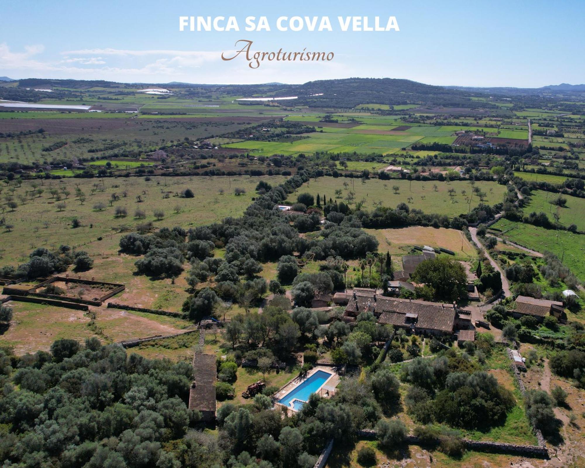 Finca Sa Cova Vella Манакор Екстериор снимка