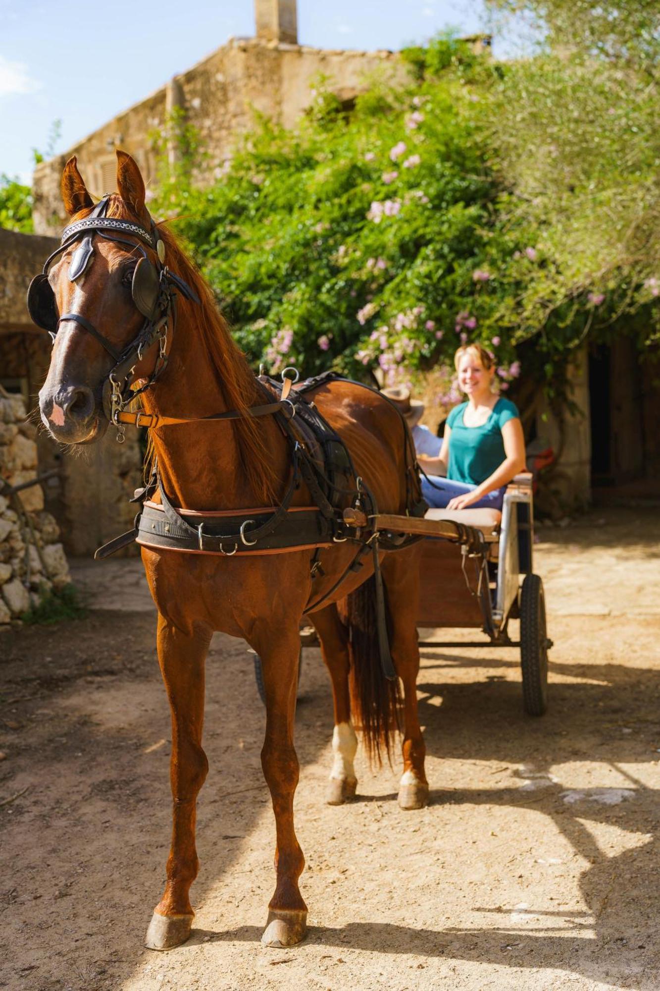 Finca Sa Cova Vella Манакор Екстериор снимка