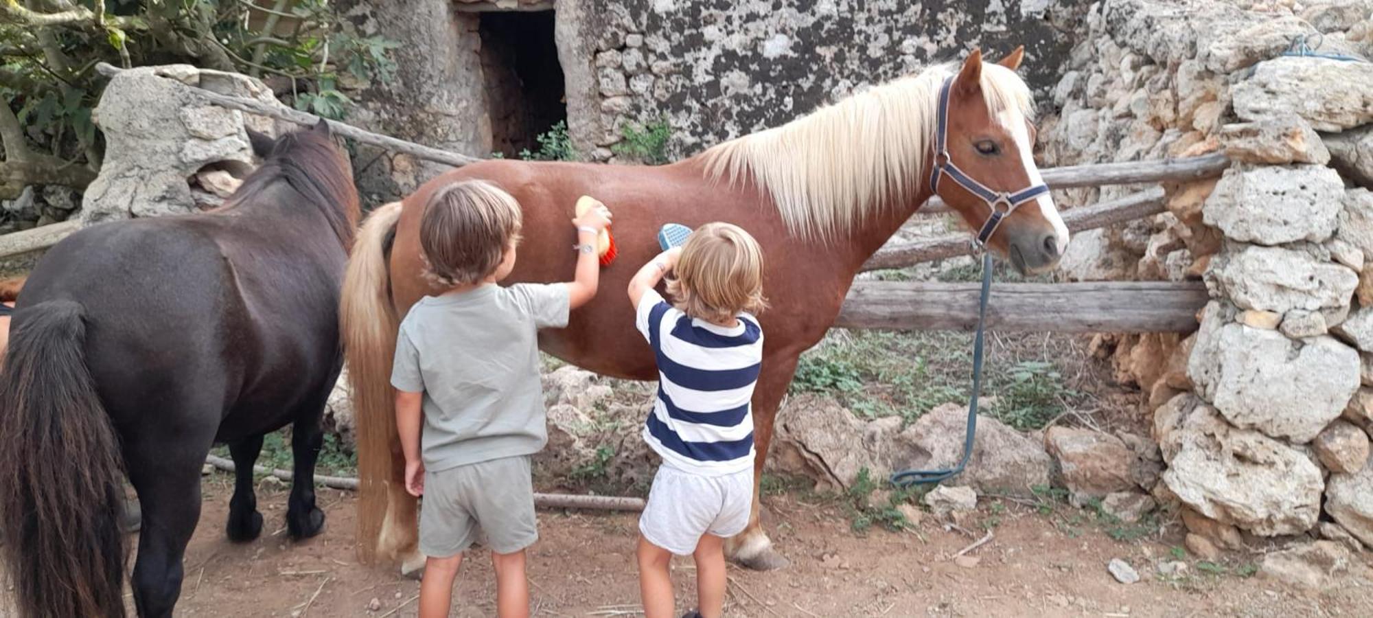 Finca Sa Cova Vella Манакор Екстериор снимка